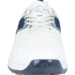 Puma Mens Golf Shoes|Spiked Golf Shoes^Ignite Innovate Golf Shoe Golf Shoes