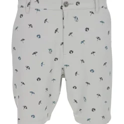 Puma Golf Shorts^AP Umbrella Shorts Flat Front Golf Apparel